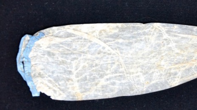 Venduto preservativo più costoso del mondo. Ecco perché è così speciale