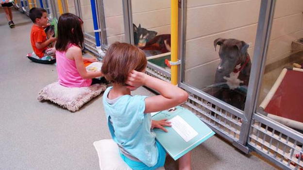 I bimbi americani leggono le favole ai cani abbandonati