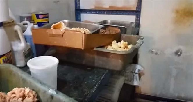 Stati Uniti: ecco le condizioni igieniche di un ristorante cinese. Da brividi