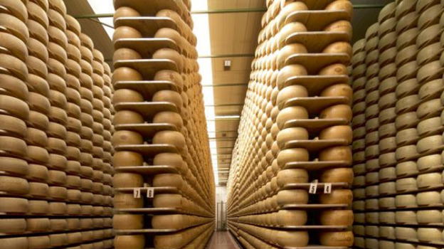 Scoperta dei NAS: latte contaminato per i formaggi