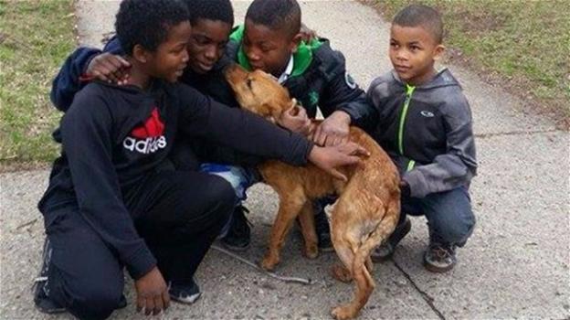 Quattro ragazzi salvano un cane legato con una corda ad un palo