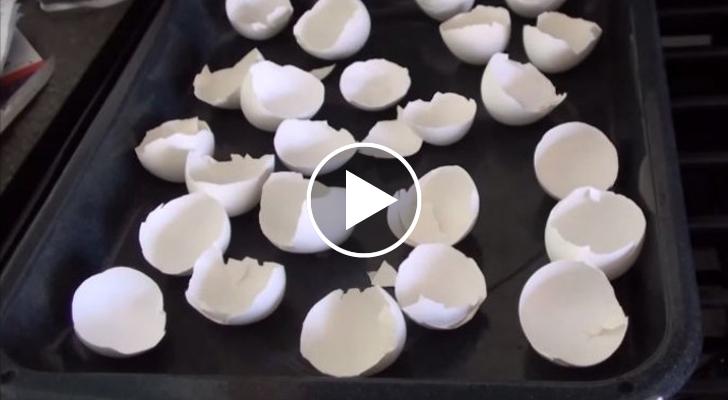 Ecco cosa succede se bollite i gusci d'uovo. Pazzesco