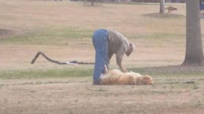 Cane si finge morto per restare al parco a giocare: è subito virale