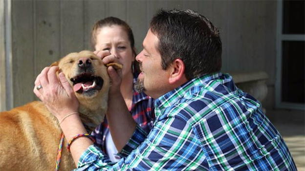 Visita il canile e vi ritrova a sorpresa il suo cane