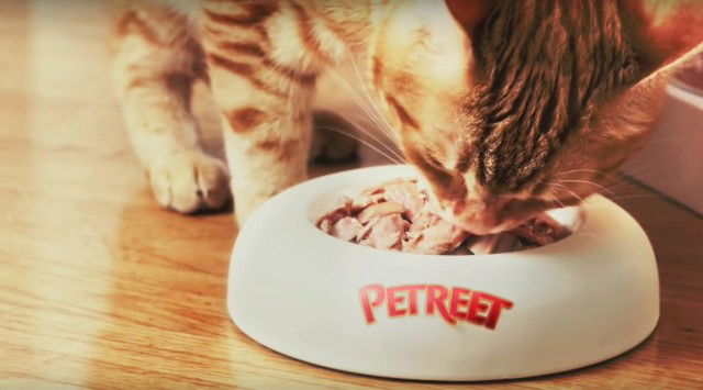 petreet-pet-food