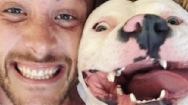 Ingiustificabile: la foto con il cane diventa virale e lo portano via!