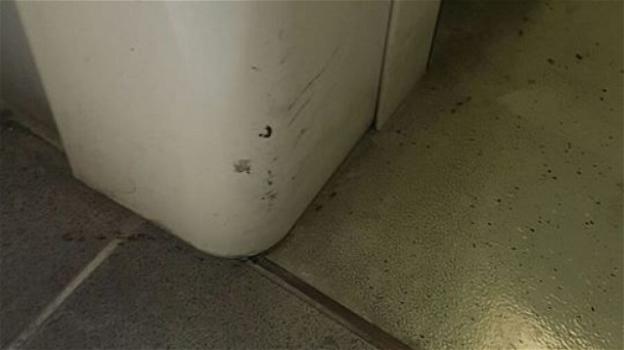Orrore all’ospedale San Paolo di Napoli: sala operatoria invasa da formiche