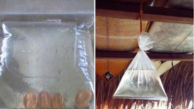 Mette delle monete in un sacchetto pieno d’acqua. Il motivo è geniale!