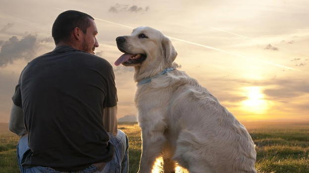 Ecco perché gli uomini si stancano delle donne e preferiscono gli animali