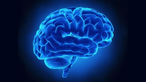 Il cervello danneggiato cambia emisfero come farebbe uno "switch"