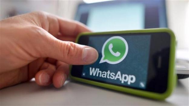Whatsapp introdurrà una chat dedicata alle prossime novità in rilascio