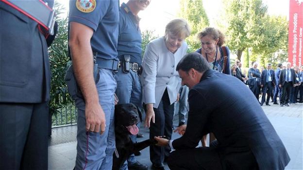 Renzi presenta l’eroico cane Leo ad Angela Merkel