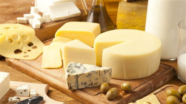 Il formaggio farebbe salire il colesterlo buono. Uno studio lo dimostra