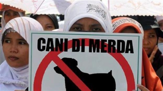 Cani di merda! Profughi mussulmani protestano contro un canile. Però…