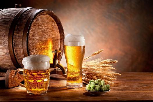 Ecco sette buoni motivi per bere la birra