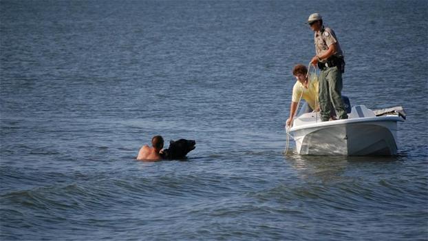 Un uomo si getta in acqua per salvare un orso. Ecco cosa è successo