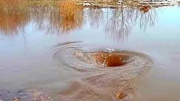 Sembra un piccolo vortice d’acqua. Ecco cosa succede nel giro di pochi minuti