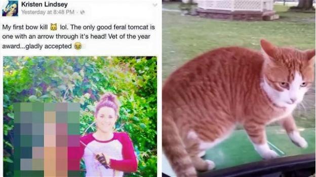 Uccide il gatto dei vicini e se ne vanta su Facebook: licenziata