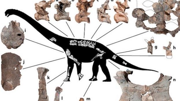 Scoperti in Australia i resti di una nuova specie di dinosauro gigante