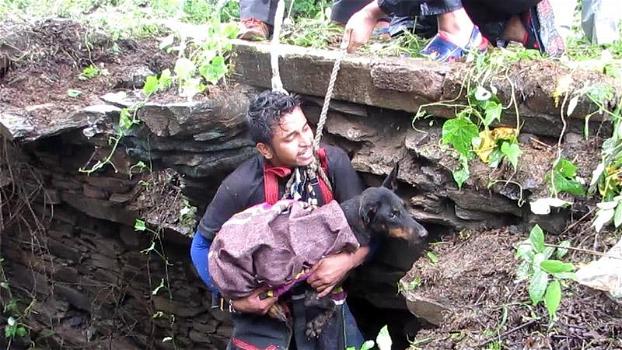 Un cane viene salvato da alcuni soccorritori. Ecco la sua reazione