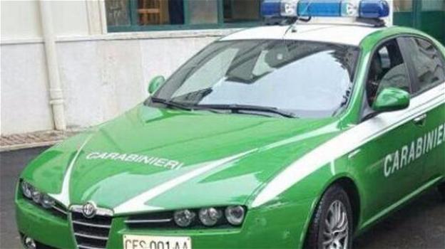 Le auto di servizio dei Carabinieri diventano verdi