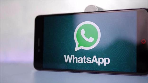 Whatsapp testa l’annullamento dei messaggi, ed un’app a scopo business