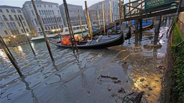 Grandi navi, inquinamento, turismo di massa: così muore Venezia