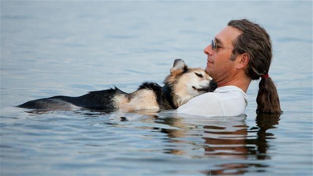 Ogni giorno accompagna il suo cane malato al lago. Il motivo è commovente!