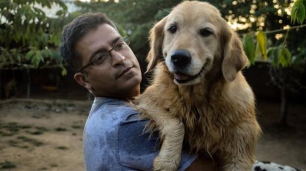 India: 735 cani abbandonati, raccolti e curati da un imprenditore