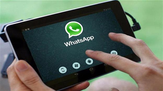 WhatsApp: gestione spazio su iOS, modifica messaggi inviati su Android