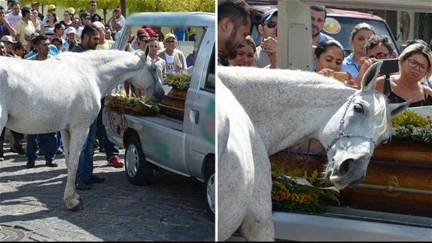 Portano il cavallo al funerale del padrone. La reazione dell’animale è straziante