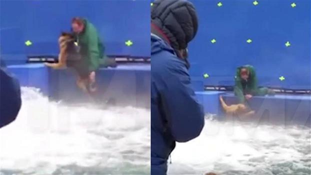 Il pubblico sta boicottando il film “Qua la zampa” dopo le immagini di questo cane gettato in acqua