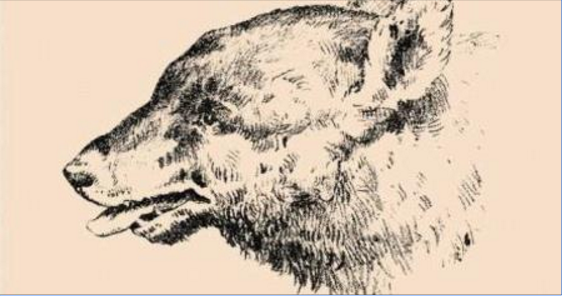 Quest’illusione ottica ha fatto impazzire tutti nel 1880. E ancora oggi molti non la risolvono