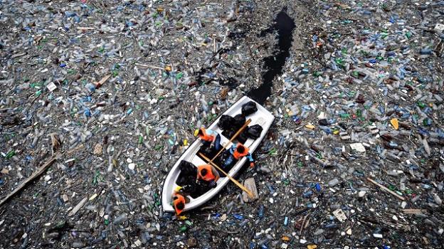 Chi mangia pesce ingerisce annualmente 11 mila frammenti di plastica