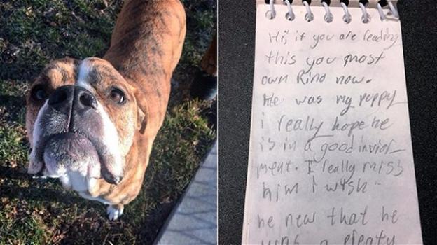 Un cane torna al canile con la lettera della bimba che lo ha voluto