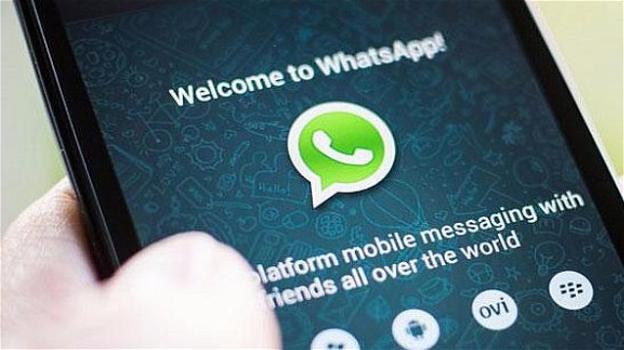 WhatsApp: riecco i vecchi Stati, arrivano "Click to Chat" e "For Business"