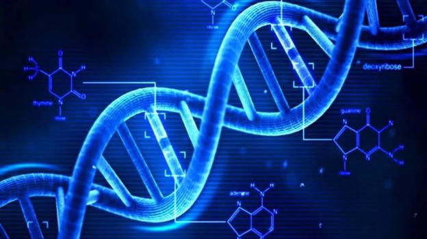 Scoperte molecole per ridurre l’invecchiamento cellulare