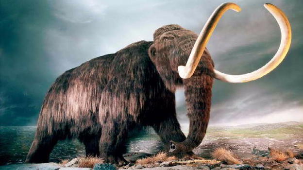 I mammut potrebbero presto ritornare su questo pianeta