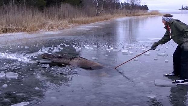 Stava pattinando sul ghiaccio quando si accorge di una creatura che stava annegando. Ora è un vero eroe!