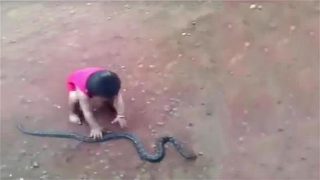 Questo bambino gioca con un serpente. Quello che fa è da brividi!