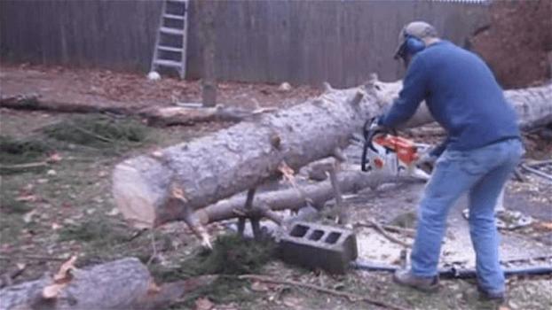 L’uomo sega un pezzo di tronco dell’albero caduto. Quello che accade poco dopo è del tutto inaspettato
