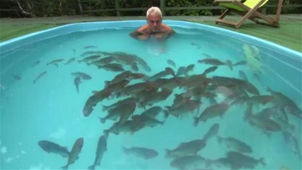 Quest’uomo nuota all’interno di una piscina piena di piranha affamati