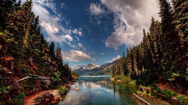 Yellowstone compie 145 anni tra natura e un’inquietante curiosità