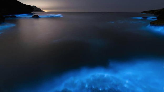 Salento, effetti notturni spettacolari nelle acque di Porto Selvaggio