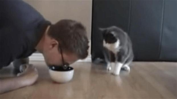 Finge di mangiare il cibo del suo gatto. La reazione del felino è esilarante!