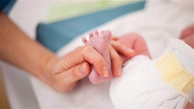 Bologna, 15 mamme coccolatrici adottano neonato piuma