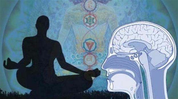I ritiri spirituali e la meditazione modificano il cervello