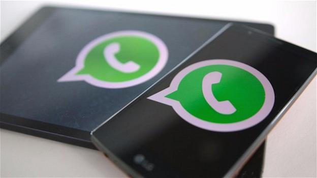 WhatsApp: ecco la condivisione multipla dei contatti e i pagamenti p2p