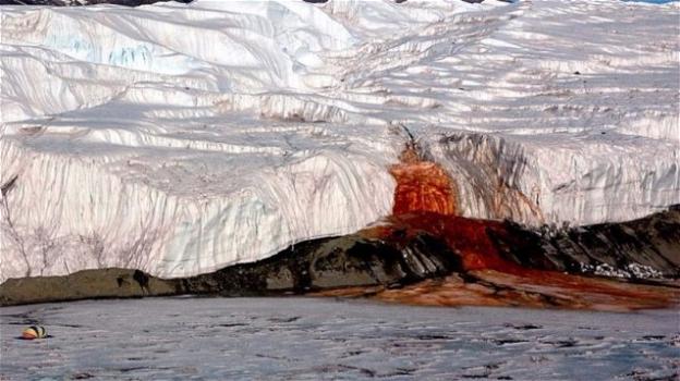 Cascate di sangue al Polo Sud: risolto il mistero dopo 106 anni
