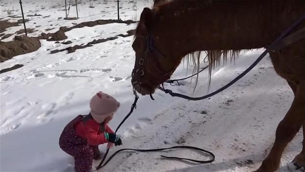 Questa bimba ed il suo cavallo sono grandi amici. Il suo papà li riprende ed il video sta emozionando tutti